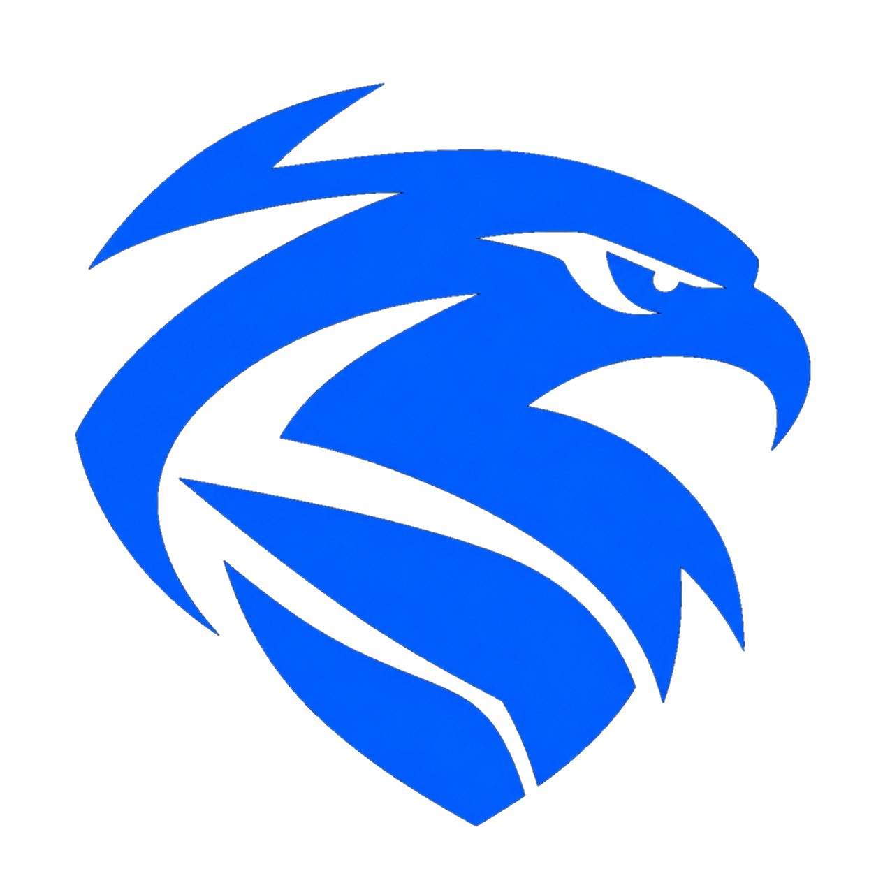 TEAM AIR eagle logo
